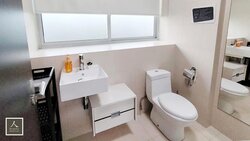 The Stellar (D5), Condominium #502312221